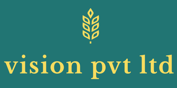 Vision Investment Private Limited - Corporate Financial Services, Wealth Management